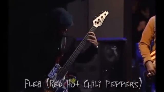 Flea Amazing Jazz Solo смотреть онлайн
