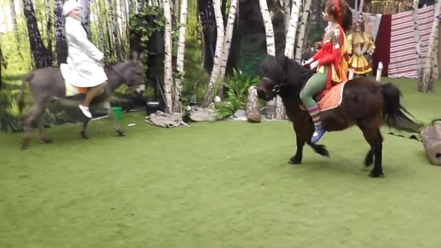 Спектакли с животными - 8(916)702-11-08 Москва смотреть онлайн