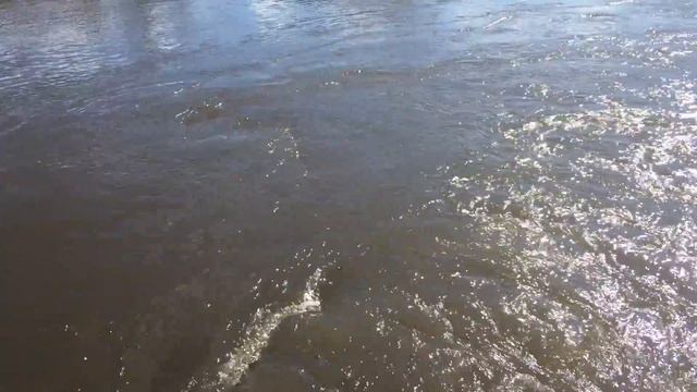 Разлив реки Мичуринск 20!8. смотреть онлайн