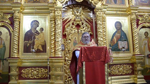 проповедь протоиерея Вячеслава Пушкарева в Неделю 5-ю по Пасхе смотреть онлайн