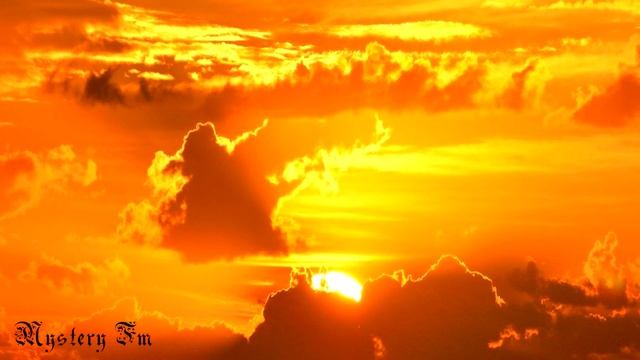 Вы не человек Сатсанг Роберта Адамса смотреть онлайн