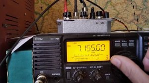 фазовый подавитель помех.