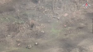 Штурм позиций ВСУ на Запорожском направлении