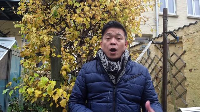 Căng thẳng Israel - Hamas ảnh hưởng đến lá phiếu của Tổng Thống Joe ? - Ngày 01/11/2023...