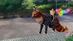 Страшилка WildCraft «Закрой все ОКНА перед сном«
