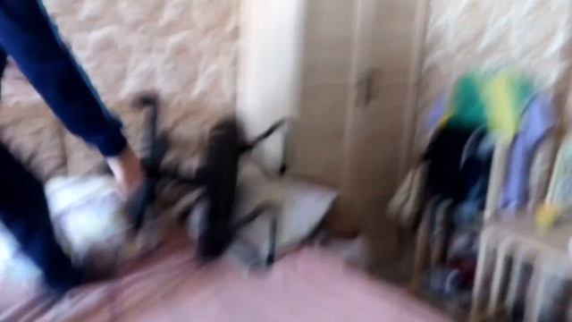 КАНЕЦ КРЕСЛА смотреть онлайн