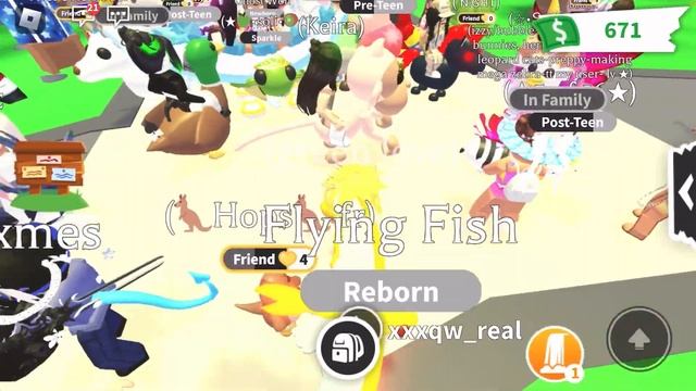 трейд ргб бокс смотреть онлайн