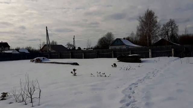 Загадочные следы. Дача в марте. смотреть онлайн