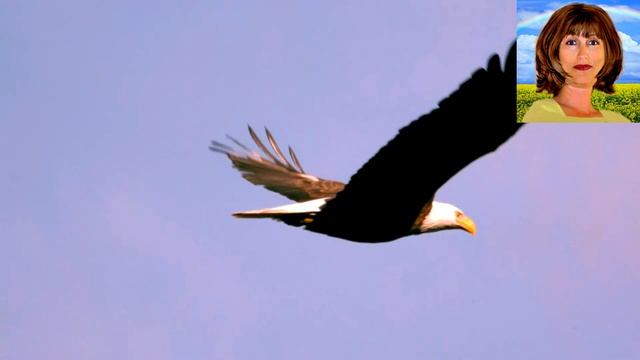 Славянский гороскоп, тотемные животные смотреть онлайн