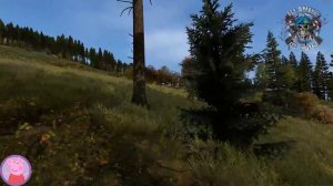 Peppa and friends in Chernarus!