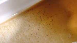 Вода Верея, с/п Верейское, Орехово-Зуевский район 01.05.2017