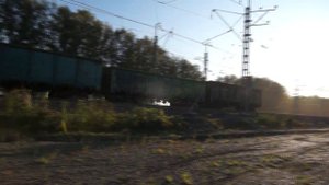Влог. Макс и папа смотрят поезда видео про поезд