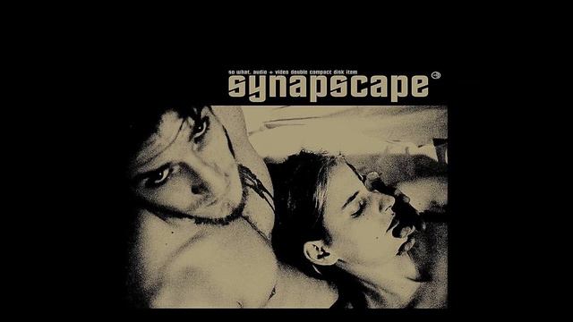 Synapscape - 7th Sect смотреть онлайн