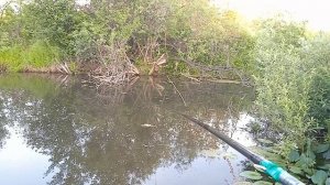 Главное терпение думал рыбак, но рыба думала по другому.