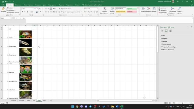 Завдання Ексель «Біотопний акваріум». Частина 1. ВСЕУКРАЇНСЬКА УЧНІВСЬКА ОЛІМПІАДА З ІТ , 2020 смотреть онлайн