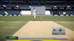 Don Bradman Cricket 17 Game Play - Mitchell Johnson!