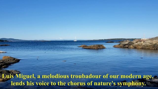 «Meditation on the Pacific Shore with Luis Miguel and Marcus Aurelius» смотреть онлайн