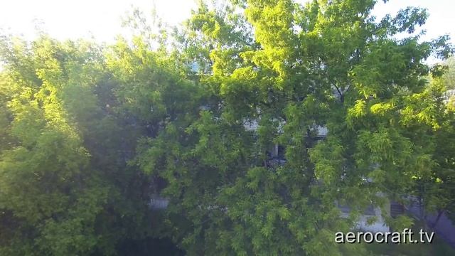 Школа № 96 Железногорск Красноярский край