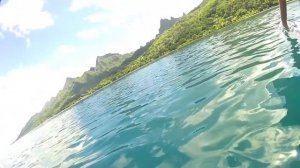 Dauphins Haapiti moorea