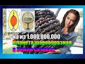 Планета шарообразная, а Земля Сотовая. (Л.Д.О. 243 ч.) Вячеслав Котляров.