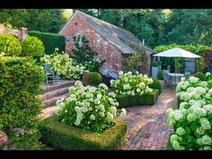 Гортензия в ландшафтном дизайне