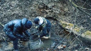 НАШЕЛ РЕДКИЙ АММОНИТ! Поиск ОКАМЕНЕЛОСТЕЙ **Я НЕ ПОВЕРИЛ**