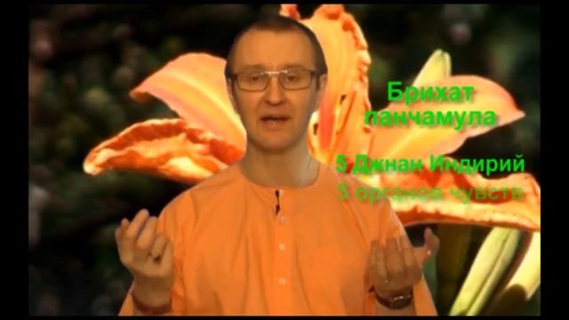 Аюрведа:  Гармония 10-ти корней Роберт Грислис 28 урок
