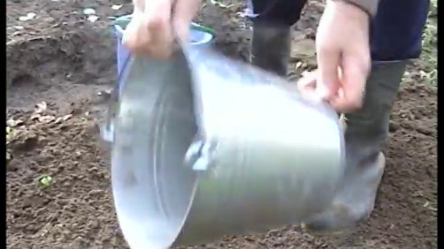 Подзимние посевы овощей