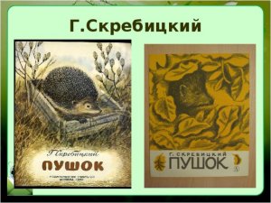 ПУШОК- Аудиорассказ- Г.А.Скребицкий