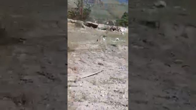 МОЯ СТРОЙКА ДАЧИ В ГОРАХ смотреть онлайн