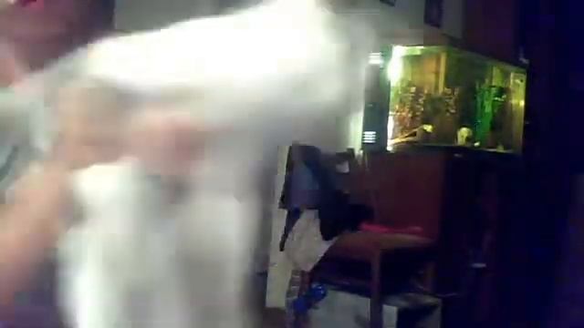 Кошка в трейлере.Бой с веб-камерой. смотреть онлайн