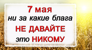 7 мая Евсеев день, что нельзя делать. Народные традиции и приметы.