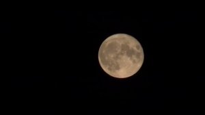 CANON LEGRIA HF G50 - Mondaufnahmen