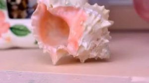 Так вымирает белая раса