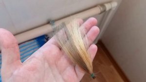 Окрашивание волос.Тест -прядь.Краситель констант делайт.10/19 и 10/0.