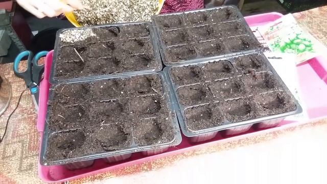 Март 2022 серия №7. Уход за рассадой томатов, лука, монарды....Посев базилика. смотреть онлайн