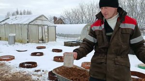 Посадка пионов в замёрзшую на 15 см землю. Яма глубиной 60 см, из них 40 см глина. Замена земли.