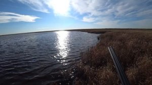 ОХОТА НА УТКУ ОСЕНЬ 2023 НОВОСИБИРСКАЯ ОБЛАСТЬ . ЦЫГАНСКИЙ БЕРЕГ РАЗДАЁТ