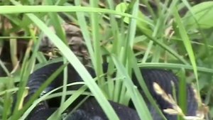 Зюраткуль 2015 фото (HD).mp4