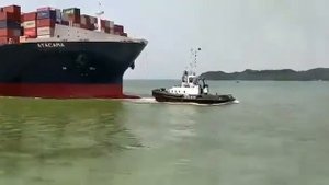 Буксир Тащит Корабль в Морской Порт. контейнеровоз.