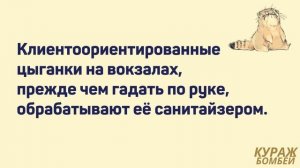 Аморальные мемы: из жизни цыган и эволюция по Дарвину