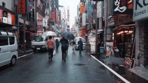 Walking in Light Rainfall in Shinjuku Sounds, (Omoide Yokocho  and Kabukicho)  4k