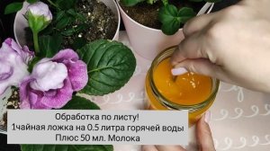 1 Чайная Ложка для Здоровья КОМНАТНЫХ ЦВЕТОВ, простое и дешевое средство спасет от заболеваний