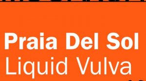 Praia Del Sol - Liquid Vulva (Praia Main Deep Mix)
