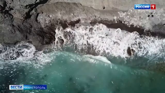 Ученые хотят очистить Черное море от нефти с помощью бактерий смотреть онлайн