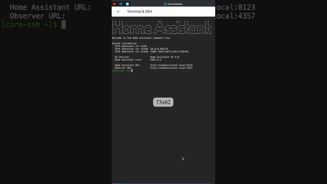 How to downgrade Home Assistant to any version (use this for brand new installations only) смотреть онлайн