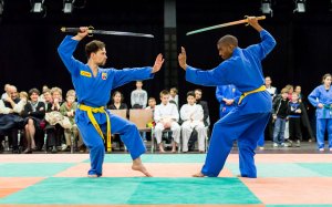 Боевые искусства мира. Вовинам Вьет Во Дао