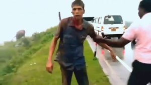 Дикий слон атакует человеческие страшные видеоролики