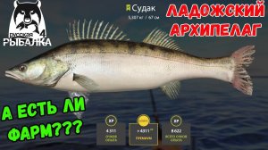 ИЩЕМ ФАРМ НА ЛАДОЖСКОМ АРХИПЕЛАГЕ В РУССКОЙ РЫБАЛКЕ 4 СТРИМ РОЗЫГРЫШИ РР4