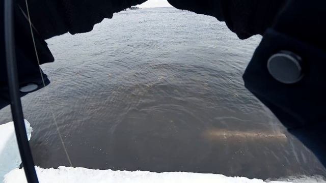 Голавль на джиг зимой. Рыбалка в центре города